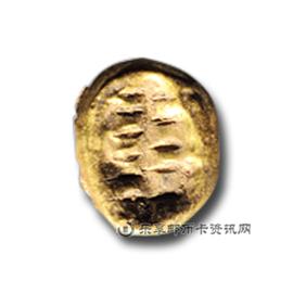 钱币金壳贝