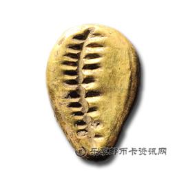 钱币金壳贝