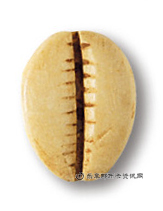 钱币玉贝